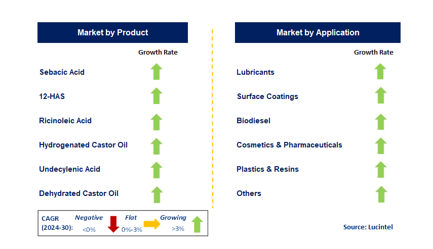 Castor Oil & Derivative by Segment